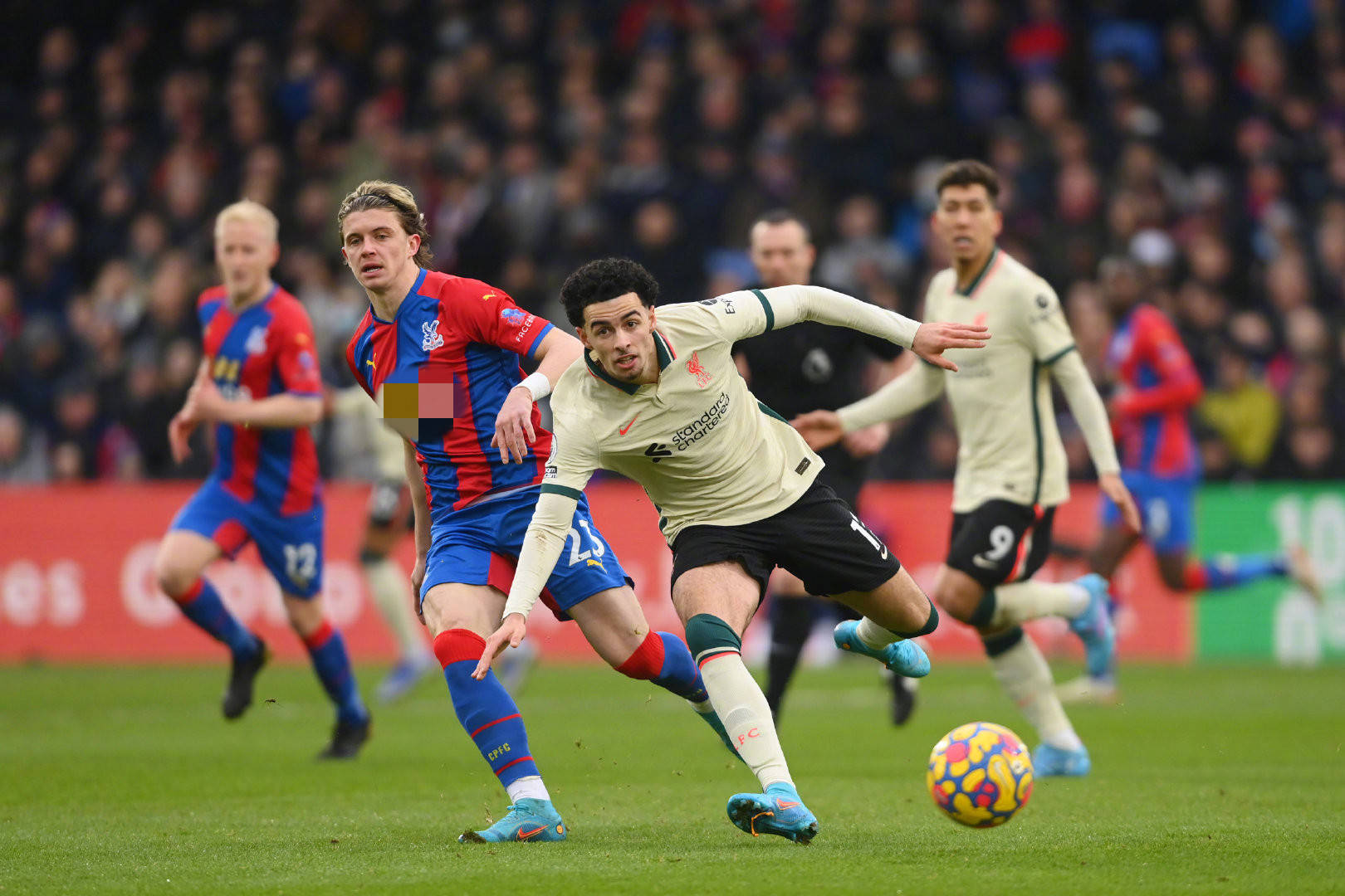 屡被提及 屡被提及